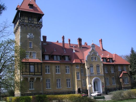 Palac w Rogach