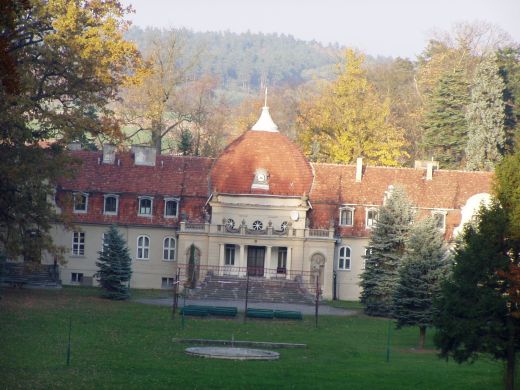 Pałac w Gliśnie - widok od strony sztucznej ruiny